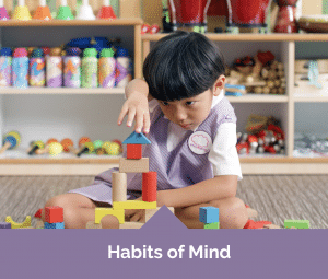 Mulberry Learning Preschool Habits of Mind
