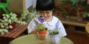 Mulberry Learning Preschool Habits of Mind