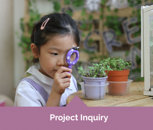 Mulberry Learning Project Inquiry