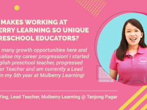 What makes working at Mulberry Learning so unique for preschool educators?