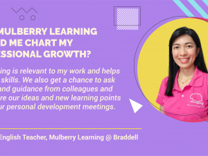 How Mulberry Learning helped me chart my professional growth