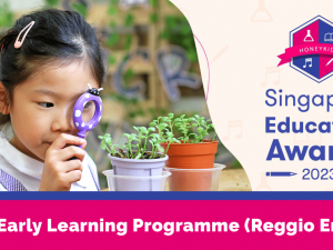 Voted Best Early Learning Programme (Reggio Emilia)